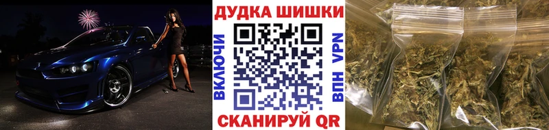 Бошки марихуана марихуана  где купить наркоту  hydra зеркало  Новозыбков 